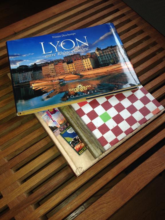 Apartamento Les Toits De Lyon